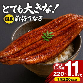 【ふるさと納税】 超特大!やわらか 国内産うなぎ蒲焼 選べる 1尾〜5尾 (220〜250g×1尾〜5尾) 肉厚ジューシー ふっくら柔らか ブランド鰻使用 秘伝のタレ・山椒付き 湯煎で簡単調理 うな丼 うな重 贈答用 ギフト 冷蔵配送 国産 茨城県 潮来市 (A23-005)