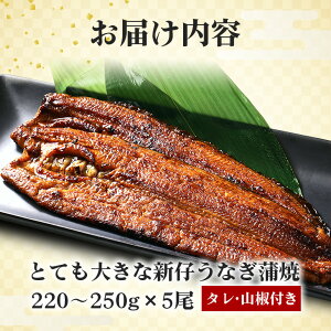 yӂ邳Ɣ[Łz !炩 YȂ Iׂ 1`5 (220`250g×1`5) W[V[ ӂ_炩 uhVgp `̃^ERt ŊȒP Ș 