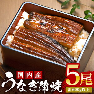 yӂ邳Ɣ[Łz 炩Y Ȃ TCY! Iׂ 2`5 (120`140g×2`5) ӂ犗Ă uhVgp `̃^ERt ŊȒP Ș 炵i 