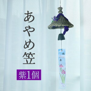 yӂ邳Ɣ[Łz ߊ}   1  BF{Ygp 암Sޏ^ `H|i ₩ȉF CeA aG El 錧 s (A24-003)