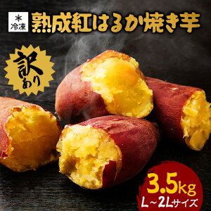 yӂ邳Ɣ[Łz 󂠂 ng͂邩 ⓀĂ 3.5kg L`2LTCY  錧Y ܂ ZȊÂ ԊOĂグ V[xbg ĂX[W[ Ăe XC[c w