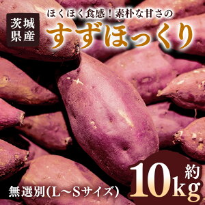 yӂ邳Ɣ[Łz ܂ ق 10kg I (L`STCY) 錧Y zNzN H Ă VՂ w Ƃ G R̊Â  Tc}C 錧 s (A52-002)