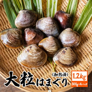 yӂ邳Ɣ[Łz 錧Y 嗱͂܂ M 300g×4pbN Y ͂܂ n}O Y sv ȒP  z  LX̌Ii p Mtg 퉷 錧