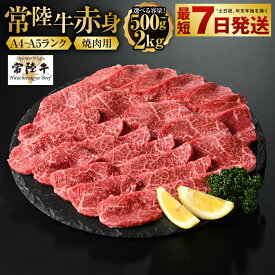 【ふるさと納税】【常陸牛】焼肉用（赤身）500g～2kg【お肉・牛肉・焼肉・バーベキュー・焼肉用・赤身】