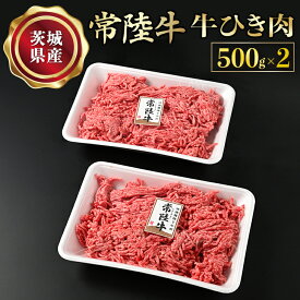 【ふるさと納税】【常陸牛】牛ひき肉 500g×2 合計1kg 藤井商店 常陸牛ひき肉 常陸牛 国産牛 和牛 牛肉 ひき肉 ひきにく 挽肉 挽き肉 牛挽肉 牛挽き肉 2P パック セット 小分け ミンチ ハンバーグ メンチカツ コロッケ 国産 茨城県産 冷凍 送料無料