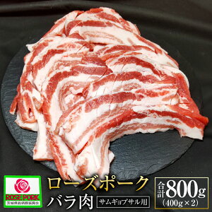 yӂ邳Ɣ[Łz[Y|[N o TMvTp!! 400g×2 v800g    ؓ  o ؃o TMvT uh Y Ⓚ 錧 Js  E