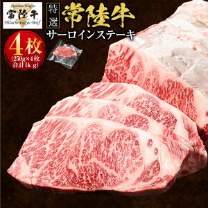 yӂ邳Ɣ[Łz_r[Ly[^yIz헤(Ђイ) A5 T[CXe[L Iׂ閇 2`4(250g×2`4) v500g`v1kg T[C i錧ʕԗi 錧Yj