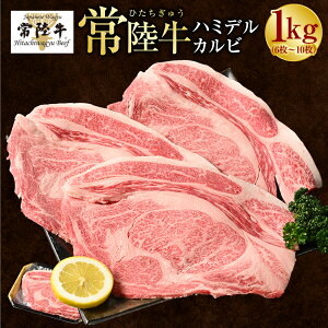 yӂ邳Ɣ[Łz_r[Ly[^y헤zn~fJr300g`1kg(2`10) i錧ʕԗi 錧Yj@   uh uha a 헤 u[X Ju