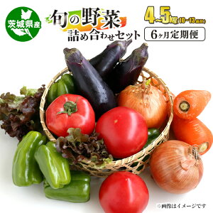 yӂ邳Ɣ[Łzyցz{̖؋lߍ킹Zbg u6 10`13i 4`5kg ₳ TC 錧Y