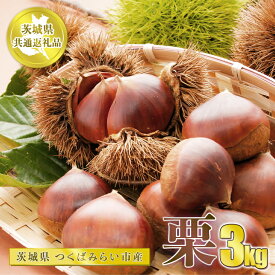 【ふるさと納税】栗 3kg【茨城県共通返礼品 つくばみらい市】※2024年10月上旬～10月下旬頃に順次発送予定