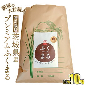 【ふるさと納税】☆茨城の大粒新人 プレミアムふくまる特別栽培米10kg【白米】