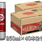 【ふるさと納税】人気炭酸水ウィルキンソン250ml×40本（2ケース）　【炭酸飲料・ソーダ水・ドリンク・飲料類・Asahi　炭酸　WILKINSON　水　刺激　本格】