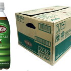 【ふるさと納税】ウィルキンソン　ジンジャーエール　500mlペット　24本入り1ケース　【飲料類・炭酸飲料・ウィルキンソンジンジャーエール・炭酸・ジンジャーエール】