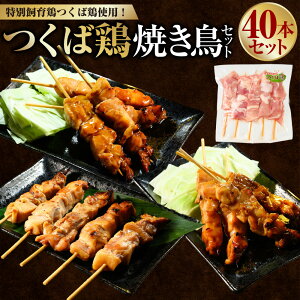 yӂ邳Ɣ[ŁzΌ{ ĂZbg 40{ Ă Ē    y  lM lM {   Ă Hה Zbg Ⓚ 錧 Js 