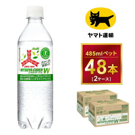 【ふるさと納税】三ツ矢サイダー　W（ダブル）【特定保健用食品】時間指定可能 485ml × 2ケース (48本) 1回便 2ケースを1回お届けします。 総数48本