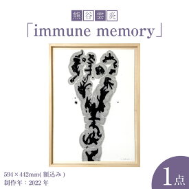 【ふるさと納税】熊谷雲炎「immune memory」インテリア 絵画 アート 飾り 装飾 玄関 リビング 部屋【制作年：2022】【サイズ：594×442mm（額込み）】茨城県 守谷市 送料無料