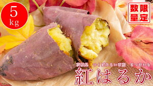 yӂ邳Ɣ[ŁzI[KjbN܂5kgy_E엿sgpzy錧ʕԗi ΂݂炢sz 2025N10{`2026N2{\