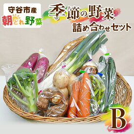 【ふるさと納税】季節の野菜セットB　【野菜・セット・詰合せ・野菜セット】