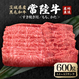 yӂ邳Ɣ[ŁzⓀz _ňĂ헤ĂZbg 600g  ₫  [X uh A4 A5 A4N A5N 䋍 Ԑg a Y  [X  Y ē B