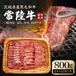 yӂ邳Ɣ[Łz_ňĂ헤ēZbg 800g  ₫ɂ [X o  uh A4 A5 Ⓚz 錧 A4N A5N  ē̓ hV̓ 헤 ē 10 