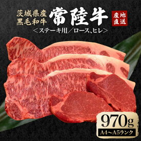 【ふるさと納税】瑞穂農場で育てた常陸牛ロース、ヒレステーキセット 約970g ヒレ ロース 黒毛和牛 牛肉 ブランド牛 常陸牛 A4 A5 茨城県 A4ランク A5ランク 焼肉 国産 ステーキ BBQ バーベキュー 和牛 ステーキ肉 贈答 贈り物 【（株）フロンティアロード】 【ho0924】