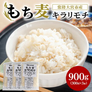 yӂ邳Ɣ[Łz헤{Y  L` 300g×3 唞 G H@ N 錧 ^{ ؕs   OJ @\\Hi Đ ٓ  yI