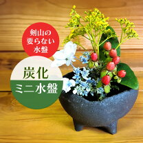 楽天市場】フラワーベース 水盤の通販