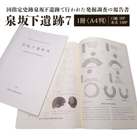 【ふるさと納税】泉坂下遺跡7 1冊 弥生時代 報告書 発掘調査 茨城県 送料無料 【常陸大宮市教育委員会事務局文化スポーツ課】 【ho1313】
