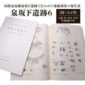 【ふるさと納税】泉坂下遺跡6 1冊 弥生時代 報告書 発掘調査 茨城県 送料無料 【常陸大宮市教育委員会事務局文化スポーツ課】 【ho1314】