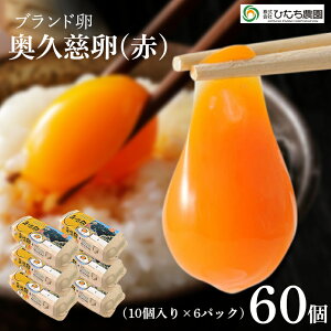 yӂ邳Ɣ[ŁzOcXgꗬluhwvx  60 ܂ ^}S ~l 錧  yijЂ_z yho1315z