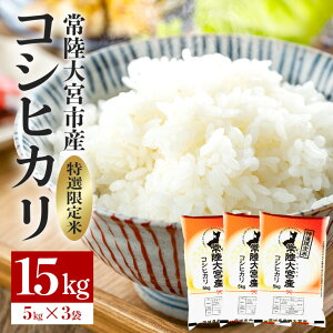 【ふるさと納税】【先行予約】 米 お米 白米 常陸大宮産 コシヒカリ 15kg(5kg×3) 特選限定米 白米 精米 おこめ ご飯 国産米 お米ギフト ブランド米 贈答用 人気のお米 美味しいお米 【一般財団