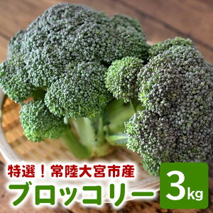 yӂ邳Ɣ[Łz IubR[ 3kg 쐣_ y쐣_z yho1417z