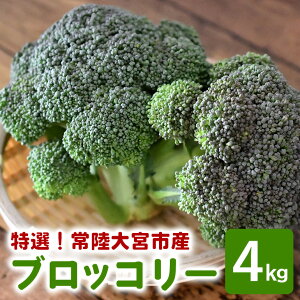 yӂ邳Ɣ[Łz IubR[ 4kg 쐣_ y쐣_z yho1418z