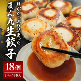 【ふるさと納税】まん丸生餃子冷凍30g×18個入り（1pac 6個入り）餃子 生餃子 国産豚肉 焼餃子 ぎょうざ ギョウザ ギョーザ 冷凍餃子 小分け お取り寄せ 惣菜 中華惣菜 点心 中華 惣菜 中華料理 飲茶 おかず おつまみ 【そうざい男しゃく（株式会社池延）】 【ho1437】