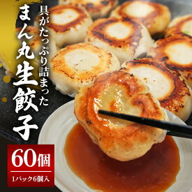 【ふるさと納税】まん丸生餃子冷凍30g×60個入り（1pac 6個入り）餃子 生餃子 国産豚肉 焼餃子 ぎょうざ ギョウザ ギョーザ 冷凍餃子 小分け お取り寄せ 惣菜 中華惣菜 点心 中華 惣菜 中華料理 飲茶 おかず おつまみ 【そうざい男しゃく（株式会社池延）】 【ho1439】