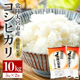【ふるさと納税】 米 お米 白米 常陸大宮産 コシヒカリ 10kg(5kg×2) 特選限定米 白米 精米 おこめ ご飯 国産米 お米ギフト ブランド米 贈答用 人気のお米 美味しいお米 【一般財団法人常陸大宮市観光物産協会】 【ho1397】