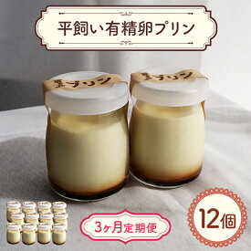 【ふるさと納税】環の花 平飼い有精卵プリン 12個 3ヶ月定期便 スイーツ お菓子 濃厚 新鮮 国産 ぷりん 冷蔵 おやつ デザート たまご 贈り物 グルメ プレゼント 洋菓子 プリン スイーツギフト 詰め合わせ 誕生日 内祝い 【環の花】【ho1395】