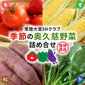 【ふるさと納税】【産地直送】季節の奥久慈野菜 詰め合せセット（春、夏、秋、冬） 野菜 野菜セット 季節 セット 特産 詰め合わせ 国産 旬 おまかせ お楽しみ 直送 【常陸大宮5Hクラブ】【ho1483】
