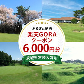 【ふるさと納税】茨城県常陸大宮市の対象ゴルフ場で使える楽天GORAクーポン 寄付額20,000円（クーポン額6,000円） 楽天 チケット ゴルフ ゴルフ場 GOLF 予約 GORA クーポン 利用券 プレー券 スポーツ 運動 レジャー 茨城 【楽天グループ（株）】 【ho1453】