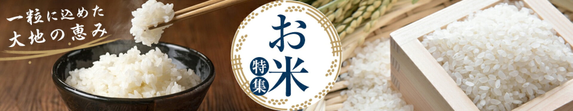 お米特集