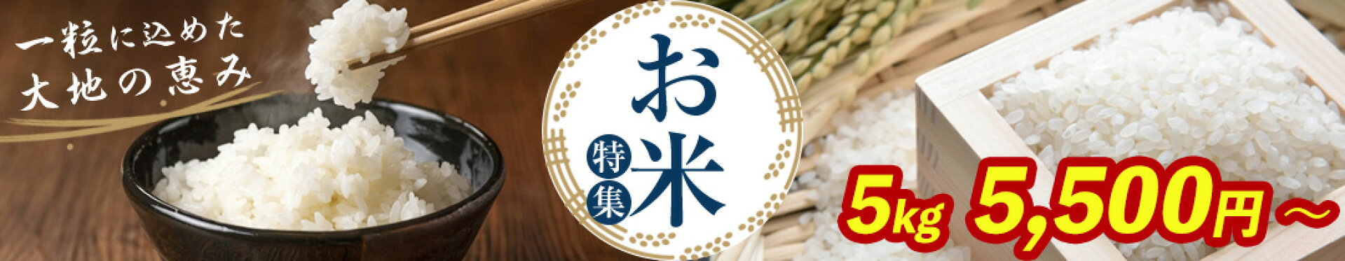 お米特集