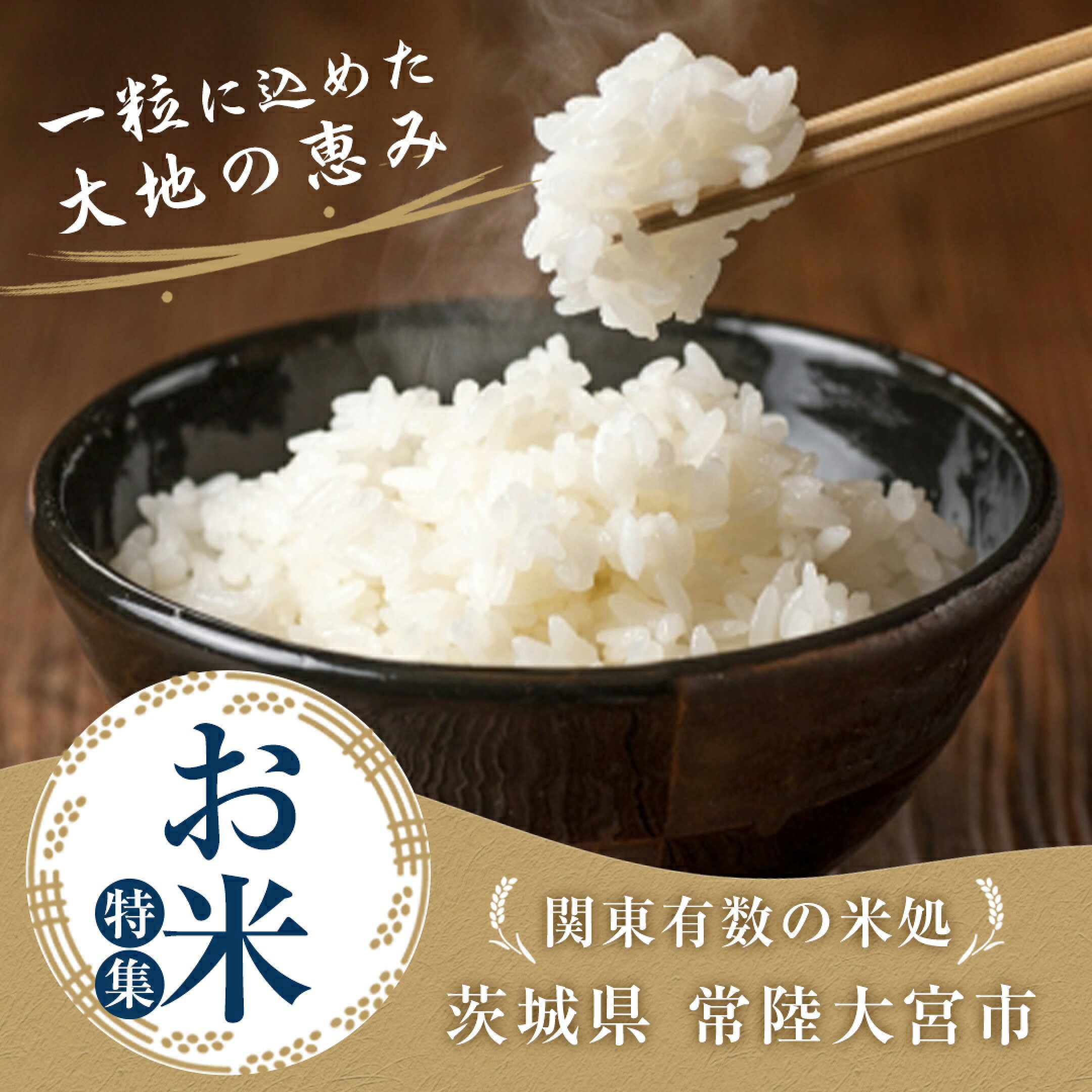 お米特集