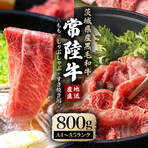 yӂ邳Ɣ[Łz_ňĂ헤Ԃ ĂZbg 800g uh A4 A5 A4N A5N Ԑg a Y   헤 ~ Ă Ԃ  X
