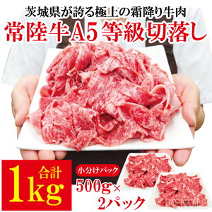 yӂ邳Ɣ[Łz헤A5ؗ v1kg[500g×2pbN] Y 5 A5N 錧  ~ Ⓚ  Ă J[  yjႭzyho1561z