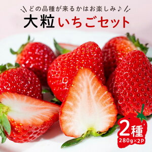 yӂ邳Ɣ[Łzys\z嗱Zbg 280g×2pbN  C`S 䕃t[c ʕ  fU[g 錧 헤{s yÂ_z yho1573z