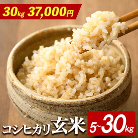 【ふるさと納税】【玄米 30kg 37,000円】 ＜選べる内容量＞茨城県産 R8年産 コシヒカリ玄米 5〜30kg 米 お米 こめ コメ 玄米 5kg 10kg 30kg 茨城 ご飯 国産米 選べる 令和8年 令和8年産 【有限会社桂農産】【ho1806】【ho1807】【ho1808】