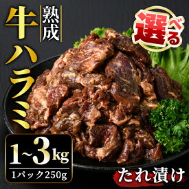【ふるさと納税】＜選べる＞ 熟成 牛 ハラミ 1kg 2kg 3kg 味付け 味付け肉 小分け 冷凍 焼肉 焼き肉 牛 牛肉 肉 お肉 ビーフ お取り寄せ ご家庭用 おうちご飯に ご自宅用 茨城県 【そうざい男しゃく（株式会社池延）】 【ho1468】【ho1469】【ho1470】