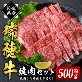 【ふるさと納税】 瑞穂牛焼肉セット 約500g 牛肉 やきにく 国産 牛肉 バラ 肩ロース 肩 肩バラ トモサンカク イチボ ブランド牛 茨城県 お中元 焼肉の日 敬老の日 瑞穂牛 焼肉 詰め合わせ 食べ比べ 国産 BBQ 【（株）フロンティアロード】【ho0858-1】