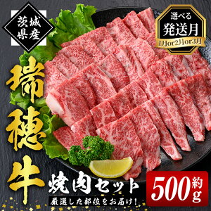 yӂ邳Ɣ[ŁzyIׂ锭z䋍ēZbg 500g  ₫ɂ o [X  o gTJN C`{ uh 錧  ē̓ hV̓ 䋍 ē 10 l