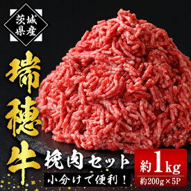 【ふるさと納税】瑞穂牛挽肉セット 約1Kg 1000g 牛肉 瑞穂牛 ひき肉 ブランド牛 茨城県 ミンチ 冷凍配送 200g×5袋パック 小分け 牛ミンチ 和牛 お肉 肉 おにく にく 国産牛 挽き肉 挽肉 お取り寄せ グルメ ハンバーグ 【（株）フロンティアロード】 【ho0865】